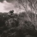 MTB Jump (c) Carter Moorse @ Unsplash