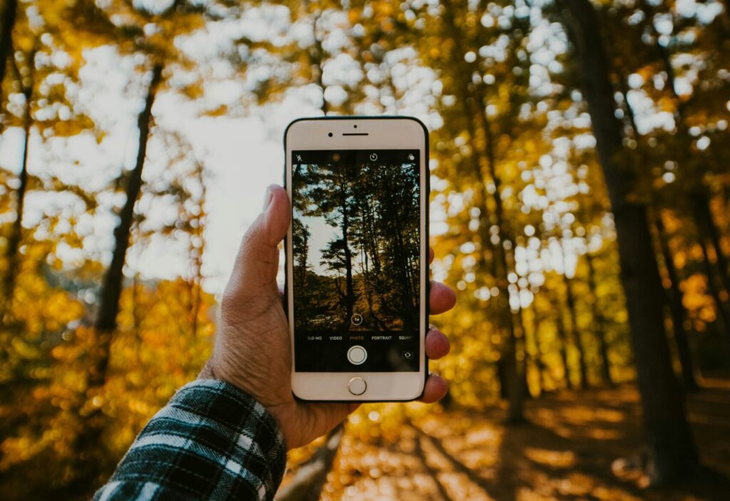 Foto von Joey Genovese auf Unsplash